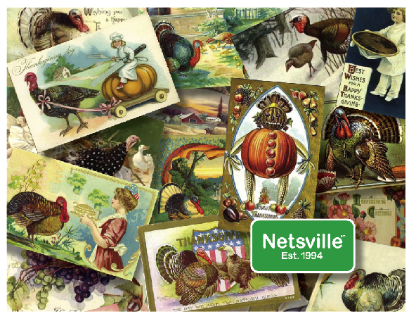 Netsville