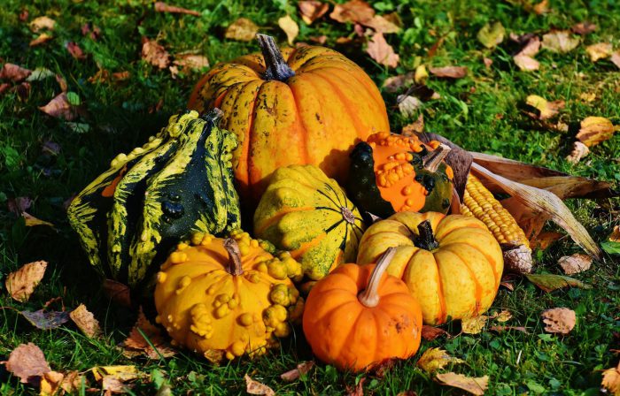 Social Media Thanksgiving